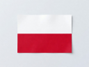 Poland Soccer Flag icon