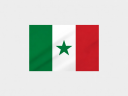 Senegal Soccer Flag icon